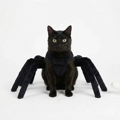 Halloween Spider Costume for Cats & Dogs