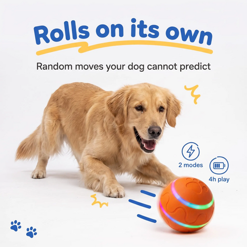 USB Rechargeable Automatic Dog Ball Toy