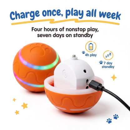 USB Rechargeable Automatic Dog Ball Toy