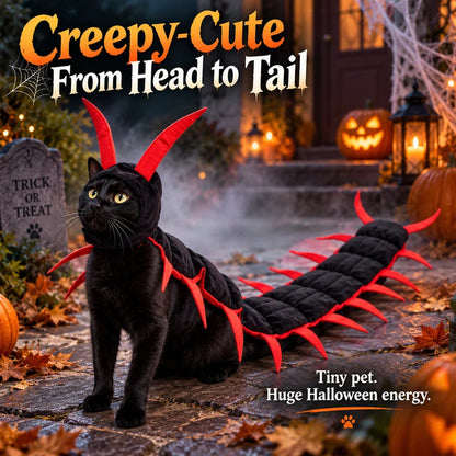 Funny Cat Costume