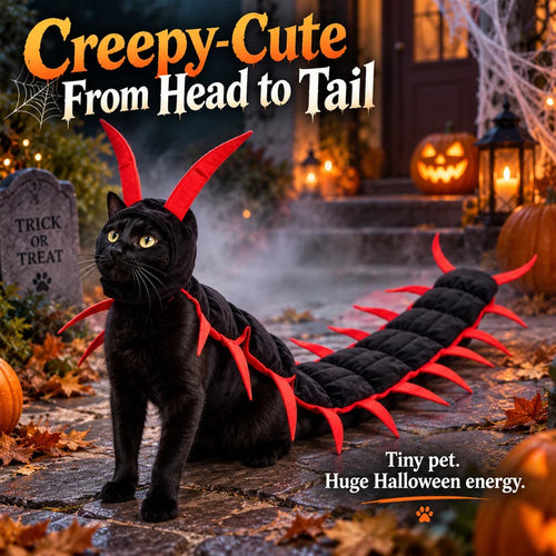 Funny Cat Costume