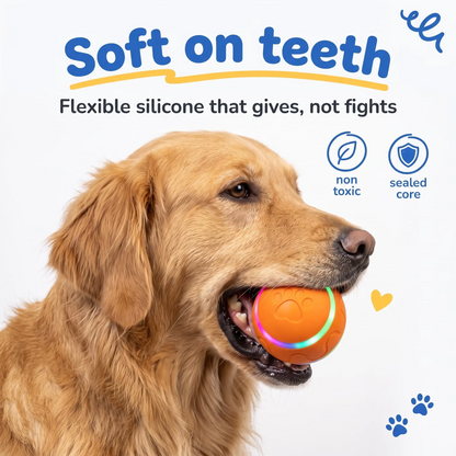 USB Rechargeable Automatic Dog Ball Toy