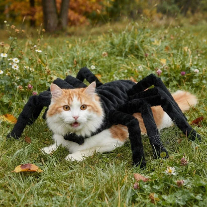 Halloween Spider Costume for Cats & Dogs