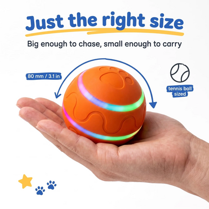 USB Rechargeable Automatic Dog Ball Toy