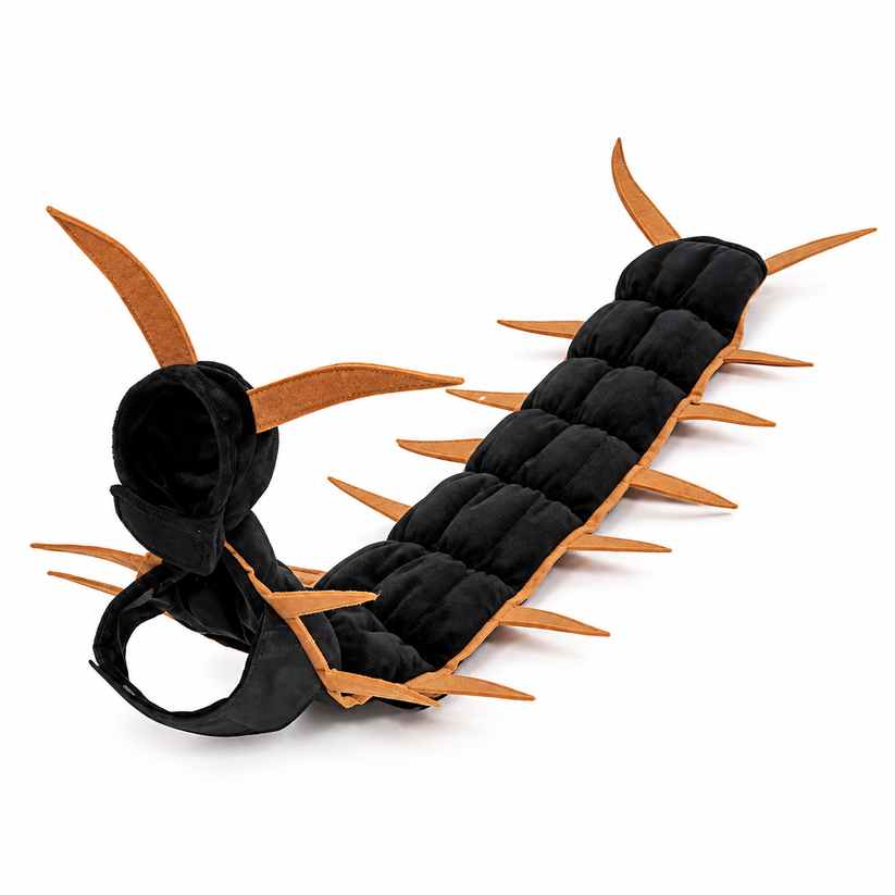 Funny Cat Costume