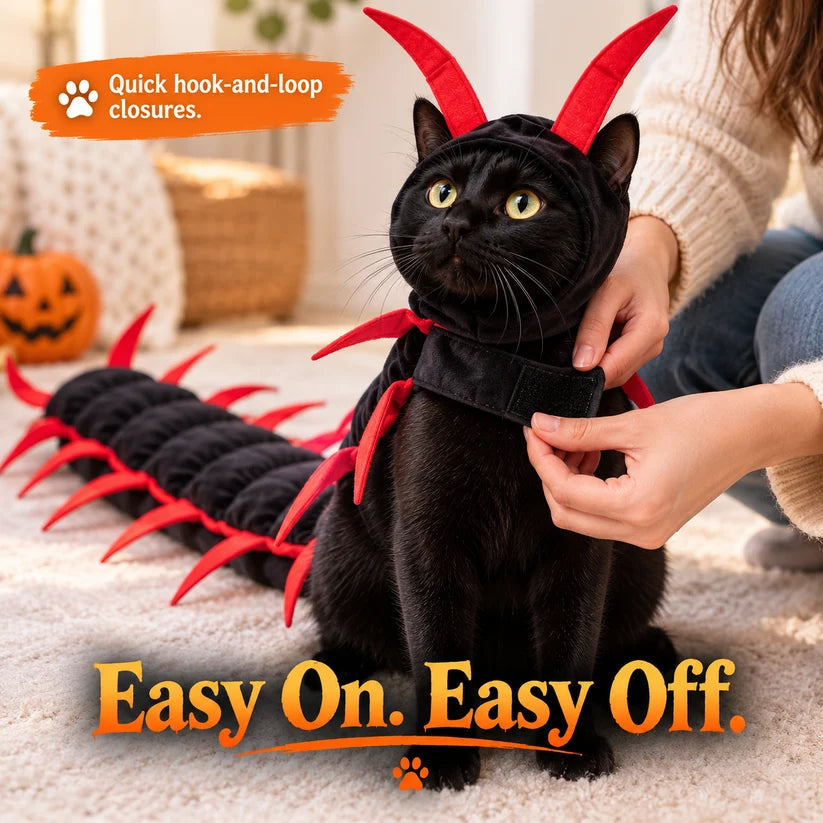 Funny Cat Costume