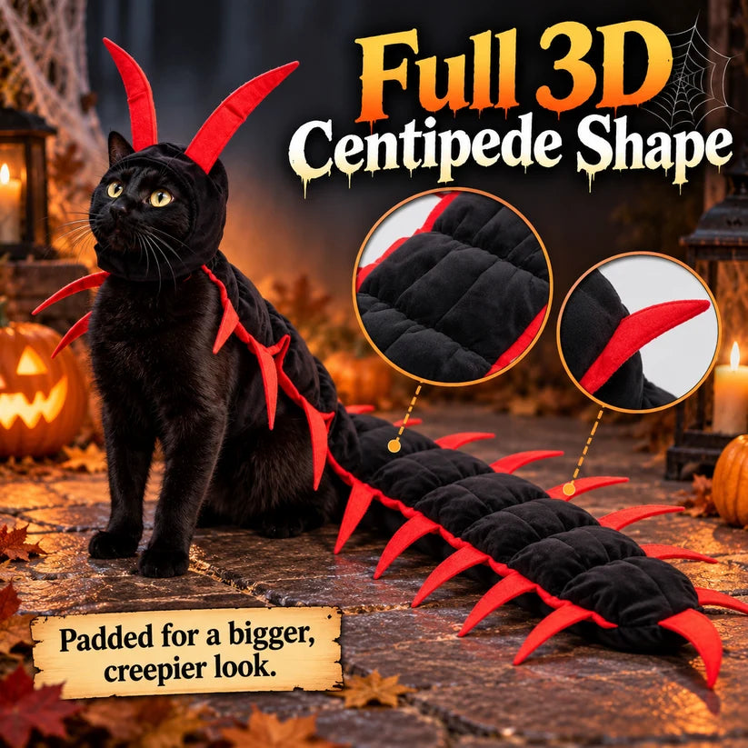 Funny Cat Costume