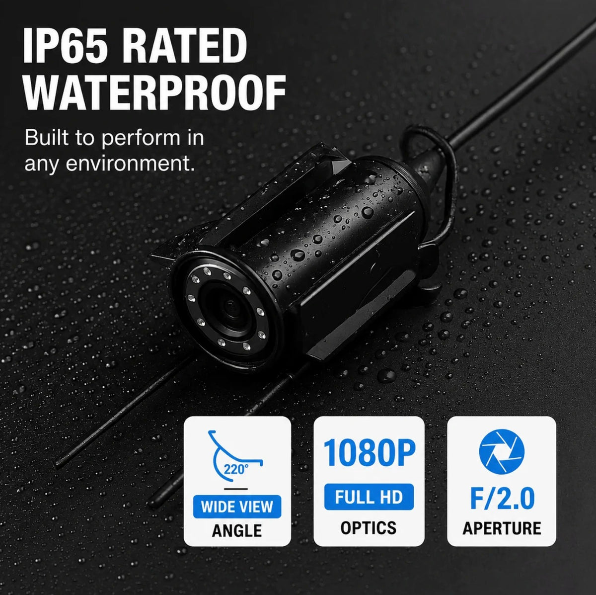 Underwater Fish Finder with Visual Display