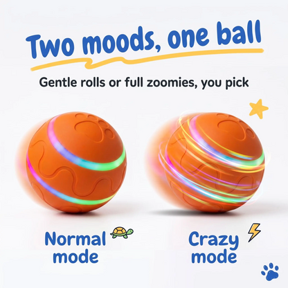 USB Rechargeable Automatic Dog Ball Toy